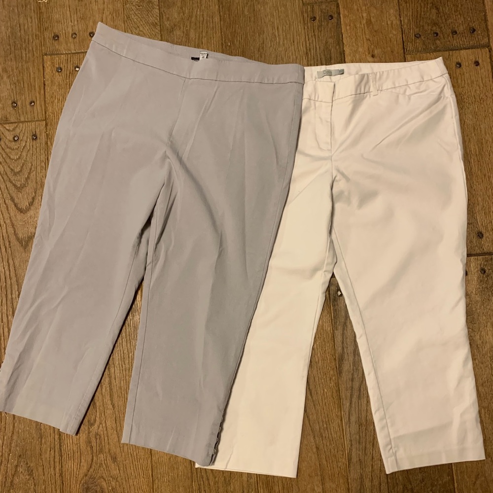 Dress Barn Capris 18 Women’s